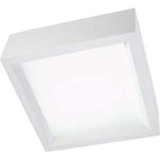 SLV Ceiling Lamps SLV 148002 GL105 Ceiling Flush Light