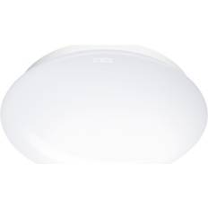 Steinel Taklampor Steinel Ceiling lamp RS PRO Takplafond