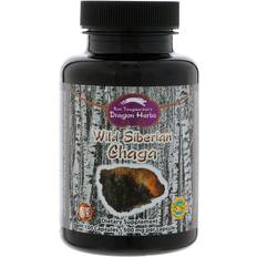 Chaga Wild Siberian Chaga Extrakt från Dragon Herbs