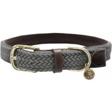 Plaited Nylon Dog collar 