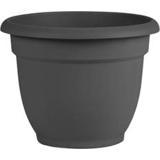 Bloem Ariana Self Watering Planter