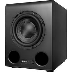 Bass 08