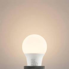 Arcchio LED bulb E27 A60 4.9 W 3,000 K opal