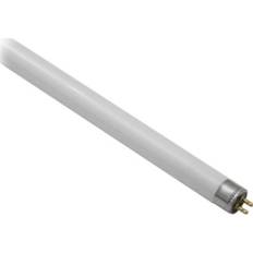 Daylight Fluorescent Lamps LEDVANCE Basic T5 Short Fluorescent Lamps 13W G5