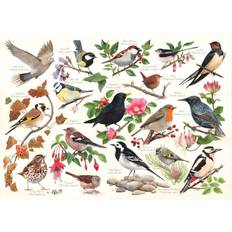 House Of Puzzles Birds In My Garden 1000 Piece Jigsaw Puzzle