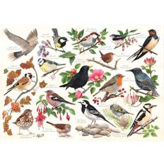 The House of Puzzles House Of Puzzles Birds In My Garden 1000 Piece Jigsaw Puzzle