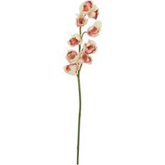 Beige Zierelemente Europalms Cymbidium Stikling. Cremefarvet/ Pink. 90 Künstliche Pflanzen