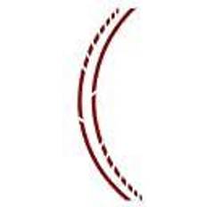 Vernici per Pinza Freno Foliatec 7 Mm Rim Stripe Red