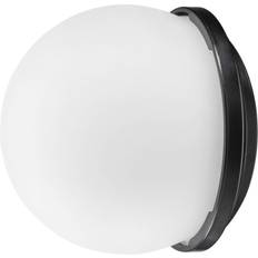 L60-B Diffusionskuppel FJ200