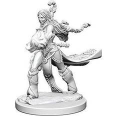Brætspil WizKids Pathfinder Battles Deep Cuts Unpainted Miniatures (Wave 1) Human Female Sorcerer