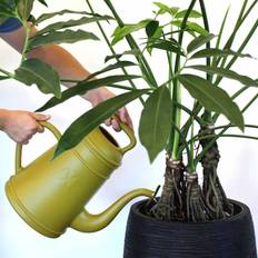 Capi - Watering Can Xala Lungo