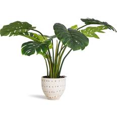 Evergreen Monstera inkl. Kunstig plante