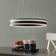 Paul Neuhaus Ceiling Lamps Paul Neuhaus Smart donkergrijs Pendant Lamp