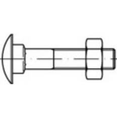 Toolcraft TO-5448240 Skruvar M5 20 fyrkantiga DIN 603 Mässing 100