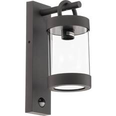 Wall Lamps Trio Lighting Sambesi outdoor lamp motion Wall light
