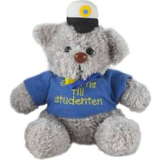 Student gosedjur Hedlundgruppen Student Nalle med Tröja