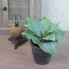 Hosta 20 Kunstig plante