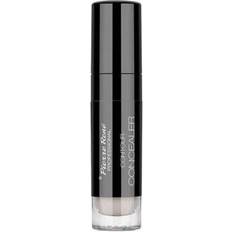 Pierre Rene Contour Concealer No 01