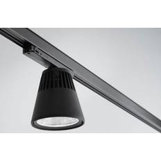 Global Winner skinnespot 3F Spotlight