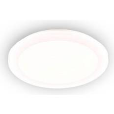 Trio Lighting Camillus Loftplafond