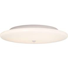 Hide-a-lite Moon slim pir 255 Loftplafond