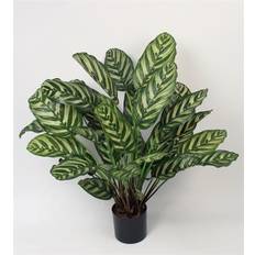 Calathea Kunstig plante