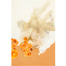 Orange Billeder Malerifabrikken Poster The Art of taste Billede
