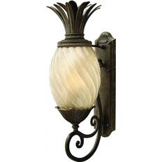 Lighting Hinkley Plantation One Wall Light
