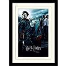 Acryl Billeder Harry Potter Mounted & Framed 30X40 Print Billede