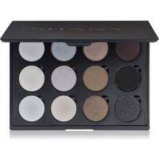 SHANY 12 Color Smoky Eye shadow Palette