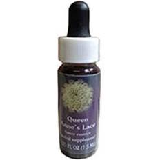 Vitamins & Supplements FLOWER ESSENCE SERVICES Dropper Herbal Supplements, Annes Lace, 1