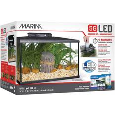 Marina 5 Gal Led Desktop Aquarium Kit