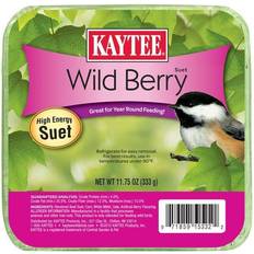 Kaytee Wild Berry High Energy Mini Suet 11.75 Ounces