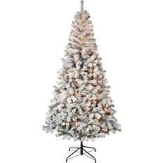 Prelit flocked christmas tree National Tree Company First Traditions Pre-Lit Acacia Flocked Christmas Tree