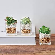 Transparent Artificial Plants MOTINI Small Succulent Mini Fake