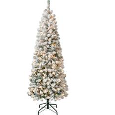 White Christmas Trees National Tree Company Acacia White Christmas Tree 70.8"