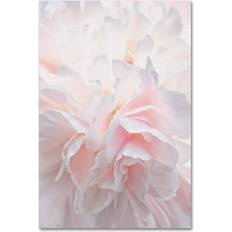 Trademark Fine Art 32 22 ""Pink Peony Petals IV"" Framed Art