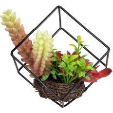 Red Artificial Plants Northlight 5.5" Succulent Arrangement Wire Frame - Black Artificial Plant