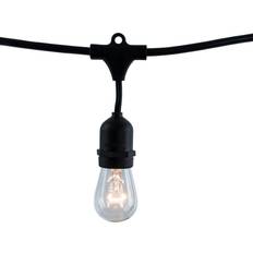 Fairy Lights & Light Strips Bulbrite Bulb Black Fairy Light 15 Lamps