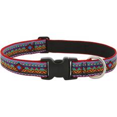 Pet Original Designs Multicolored Dog Adjustable Collar