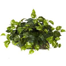 Multicolored Artificial Plants Nearly Natural Pothos Ledge - Set on Silk Artificial Plant