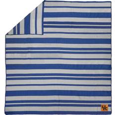 NCAA Kentucky Wildcats Acrylic Stripe Blankets