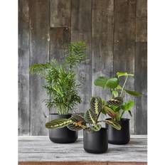 Pots, Plants & Cultivation Ivyline Lisbon Planter - Ceramic