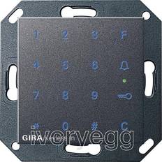 Grau Tastatursperren Gira System 55 Keyless Keypad, anthracite