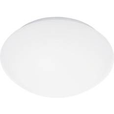 Steinel Loftlamper Steinel Indendørs armatur RS PRO Loftplafond
