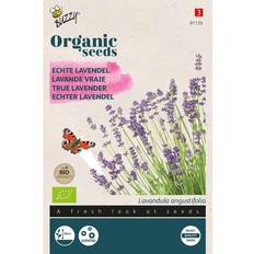 Økologisk, Ægte lavendel frø Grøntsagsfrø