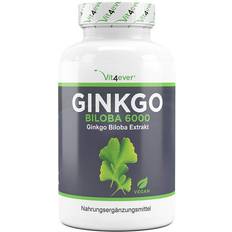 Ginkgo Ginkgo Biloba 6000 mg