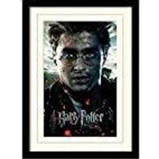 Acryl Billeder Harry Potter Mounted & Framed 30X40 Print Billede