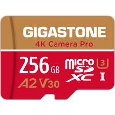 4K Camera Pro microSDXC Class 10 UHS-I U3 V30 A2 100/60 MB/s 256GB