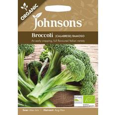 Broccoli frö Broccoli 'Ramoso Calabrese', ekologisk